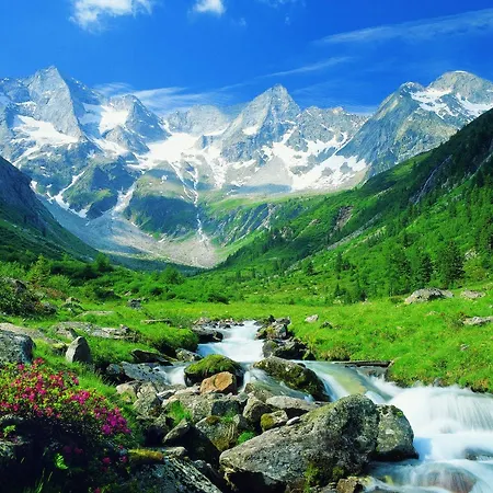 Ξενοδοχείο Elisabeth Fügen